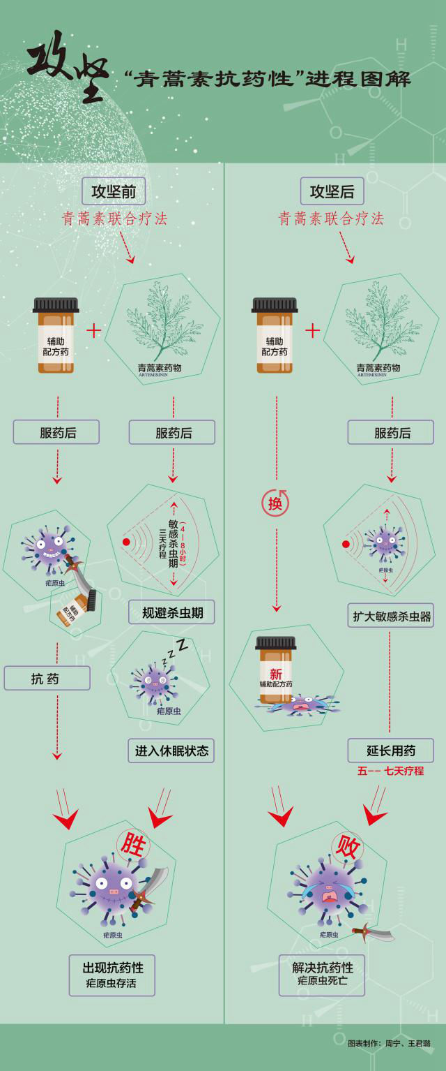 攻坚“青蒿素抗药性”图解