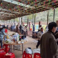 长沙周边春游登山一日游团建拓展农家乐