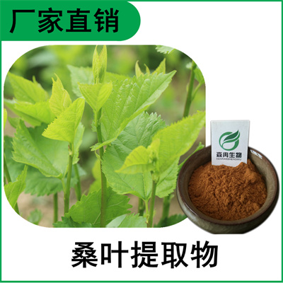 森冉生物 桑叶提取物 冬桑叶提取物 植物提取原料粉