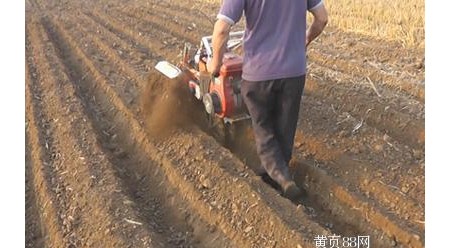 开沟培土机 果园开沟机 小白龙开沟培土机 田园管理机开沟培土